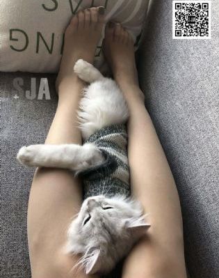天天爽夜夜爽人人爽曰噴水-超清免費(fèi)國(guó)產(chǎn)在線視頻